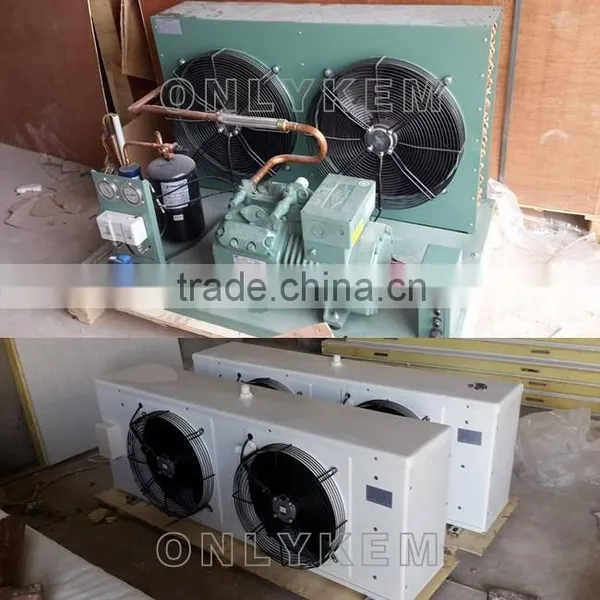 Stainless Steel Cold Room For Potato photo-6