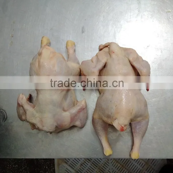 Whole Frozen Chicken photo-2