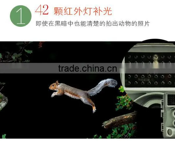 2016 Best Seller WT1006 HD 12MP Out Waterproof Wildlife Digital Infrared Thermal Trail Cameras,infrared Thermal photo-4