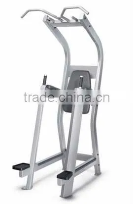 Muscle Strength Equipment / Chin-Dip Leg Press Machine / TZ-5019 photo-2