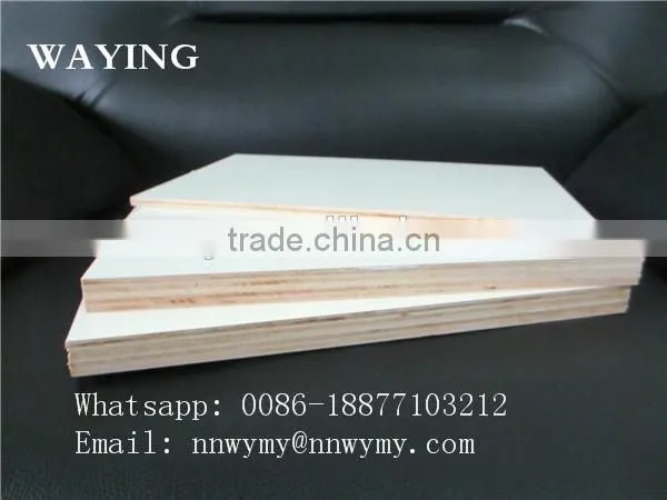 Sea Plywood photo-3