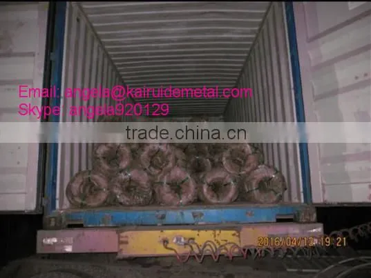 Factory Supply GALVANIZED IRON WIRE,BLACK ANNEALD WIRE photo-3