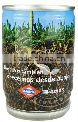 Can Flower,Tin Flower,,Flowers in a Can