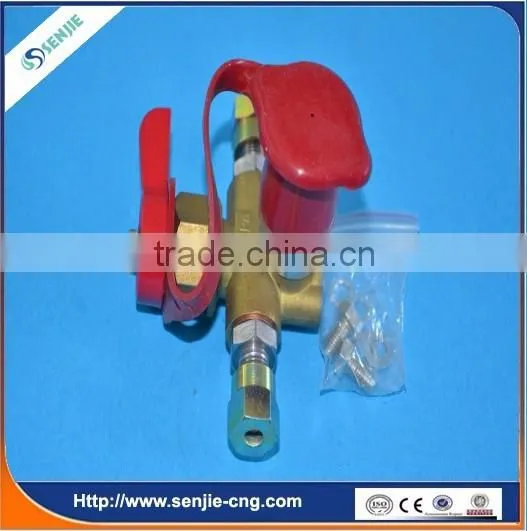 High Quality Gas Filling Valve Kit for Cng Lpg Reducer photo-2