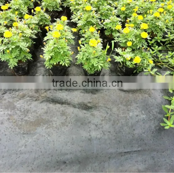 Weed Control Fabric,textile,geotextile photo-4