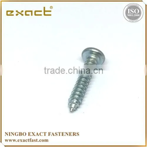 Philips Pan Head Screws Self Tapping Screw Tapping Screw Screw Din7981 photo-3