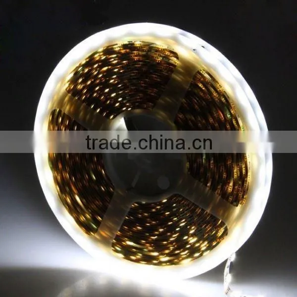 Waterproof Flexible Addressable Led Rope Light Rgb Led Strip Light Led Light Strip photo-5