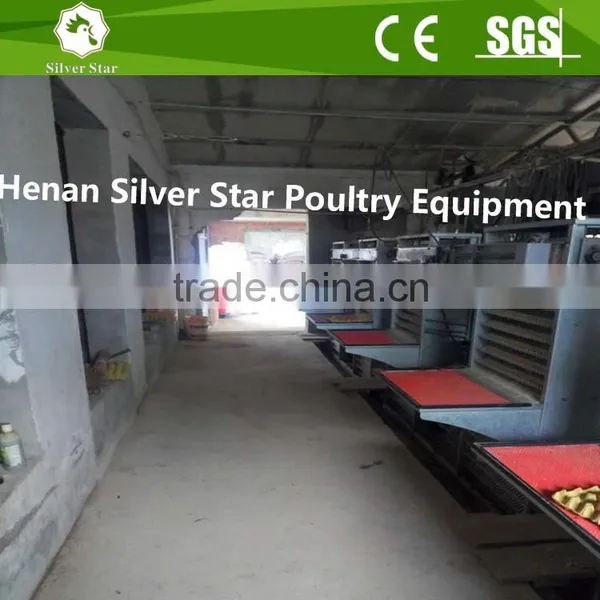 Automatic Chicken Egg Collecting Machine for Farm photo-3