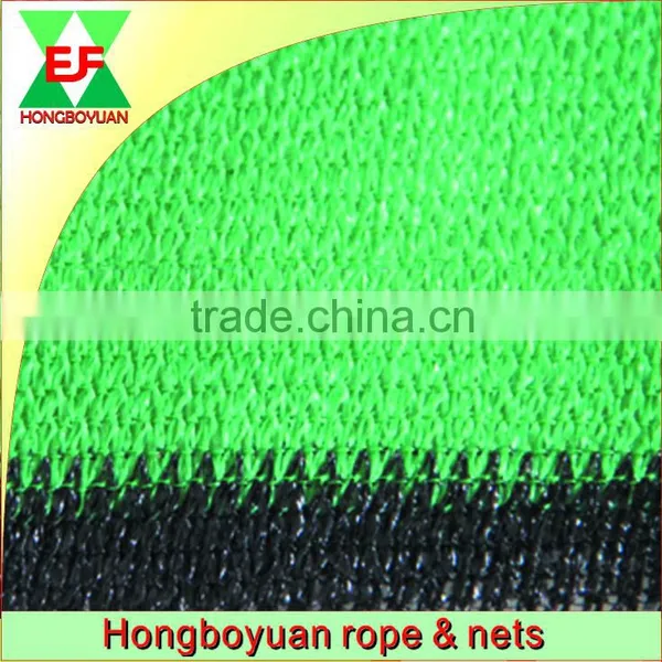 We Are Professional in Producing Green Sun Protection Netting
