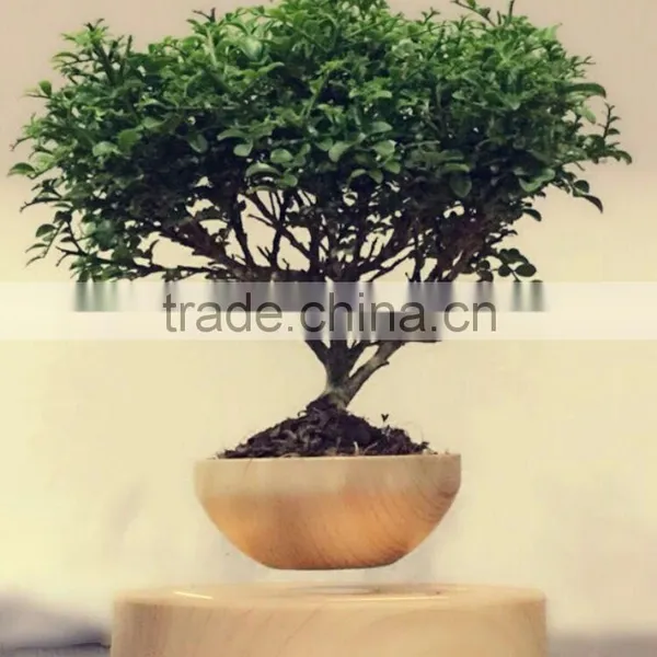 Smart Plant Pots Floating Plant Pots Air Bonsai Pots photo-2