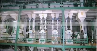 Sugandha Basmati Rice photo-3