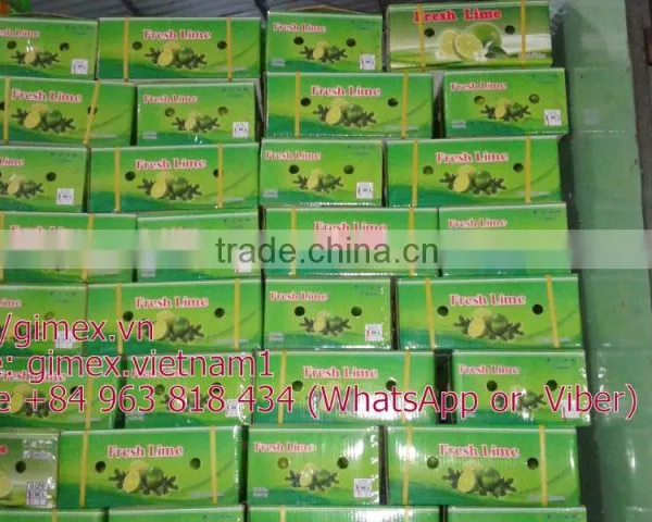 Fresh Lemon High Quality Seedless Gimex 2015 photo-3