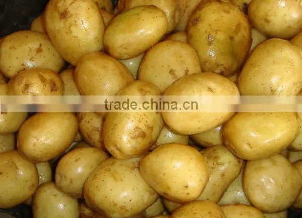 Sweet Potato From Pakistan