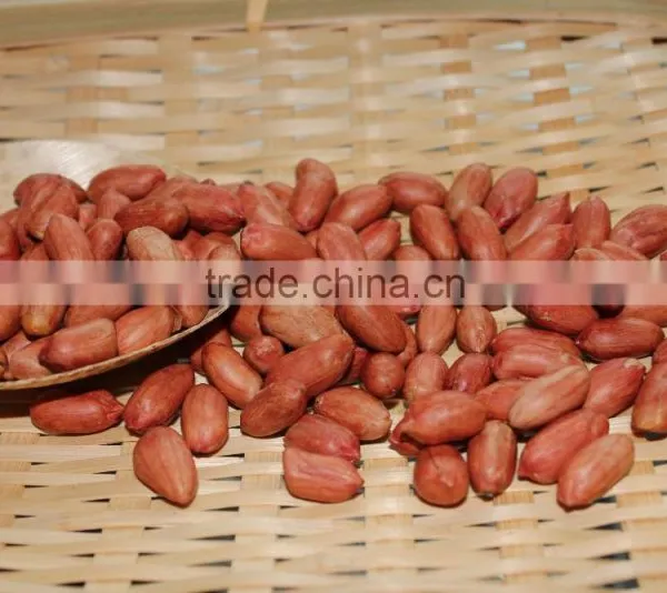 New Crops Red Skin Peanut Kernel photo-3