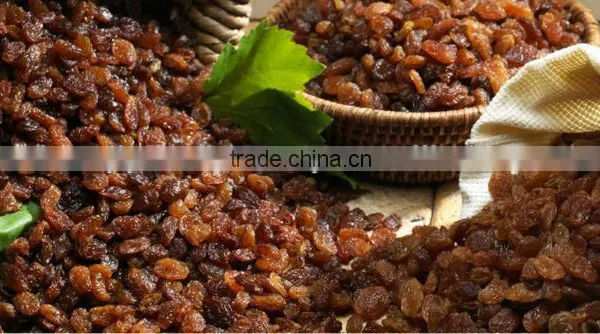 DRY INDUSTRIAL RAISIN FROM INDIA photo-2