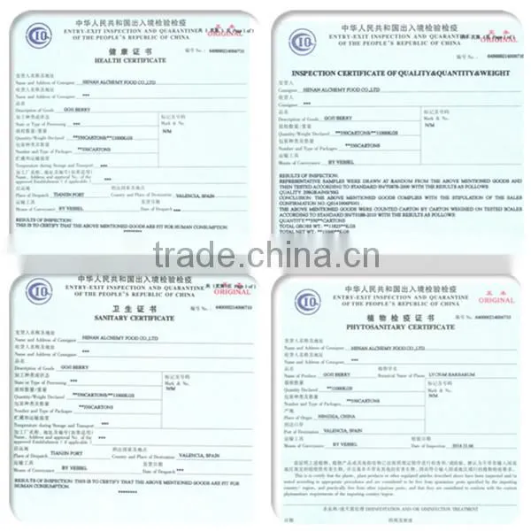 Alchemy Walnut Kernel for Hot Sale and With Best Price and Alchemy Food for Snack photo-5
