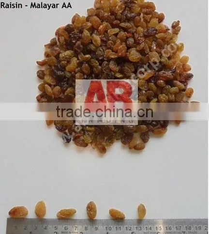 Black Raisins Good Quality /Dried Raisins From India / Best Quality photo-5