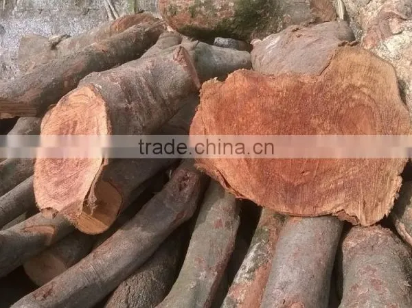 LYCHEE FIRE WOOD