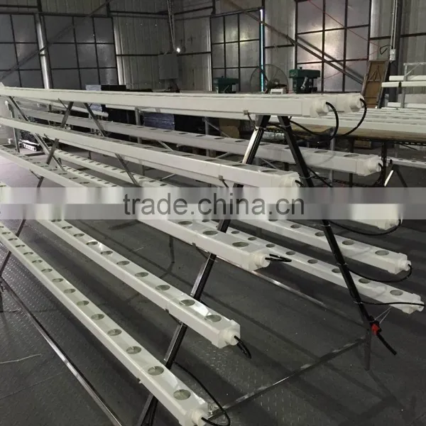NFT Hydroponics Gully