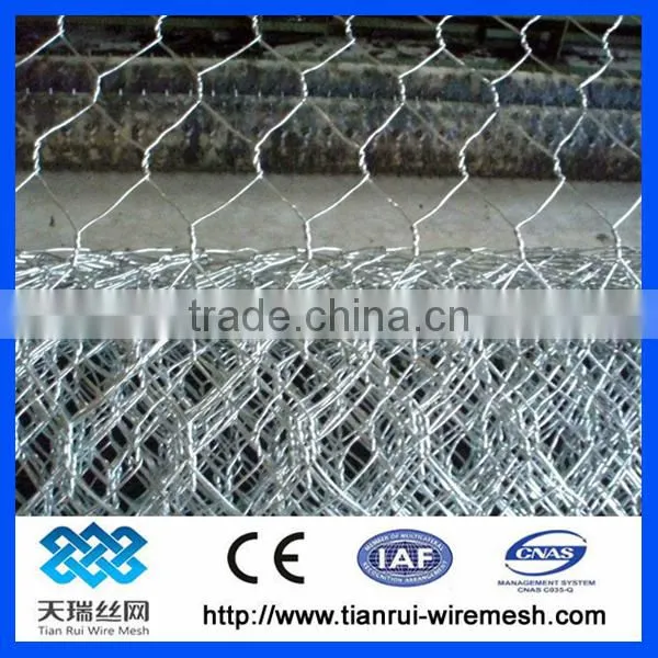 Pvc Coated/galvanized Hexagonal Wire Mesh photo-3