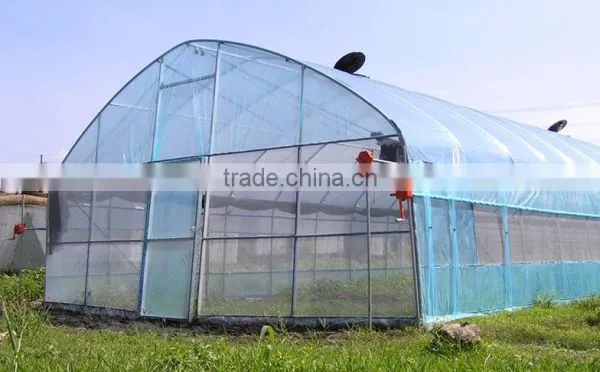 Tunnel Greenhouse photo-2