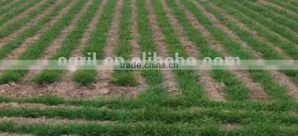 Farm Tractor Use Universal Planter, Wheater Seeder,barley Seeder Oats Seeder Sorghum Seeder Millet Seeder With Fertilizer photo-6