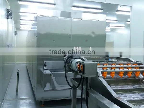 Fish Tunnel Freezer photo-3