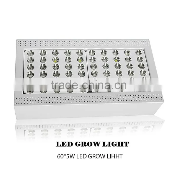 Indoor Plant Supports 300W Full Spectrum Led Grow Light photo-2