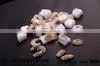 Price of Mussels in Shellfish Import Export Frozen Seafood