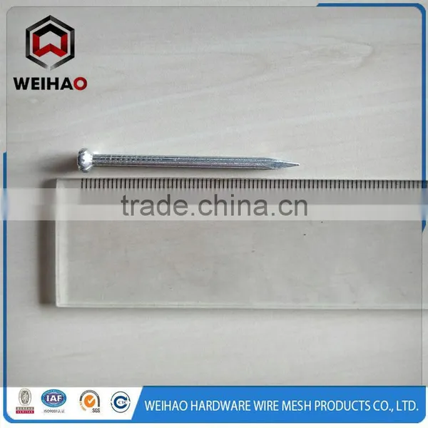 1'' to 6'' Electric Galvanized High Quality Concrete Steel Nails photo-2