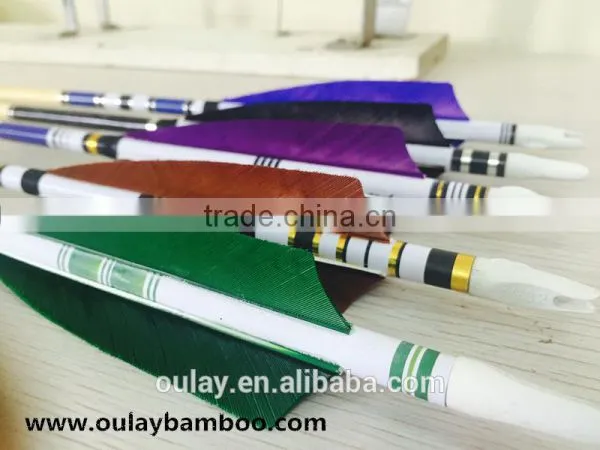 11/32 Plastic Nocks Archery Pine Arrows Archery Club Using Arrows 35~55# photo-3