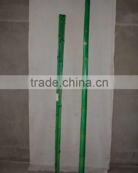 BAMBOO PRODUCTS