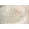 Healthy High Borosilicate Pyrex Glass Steamer , Dia. 20cm And 24cm