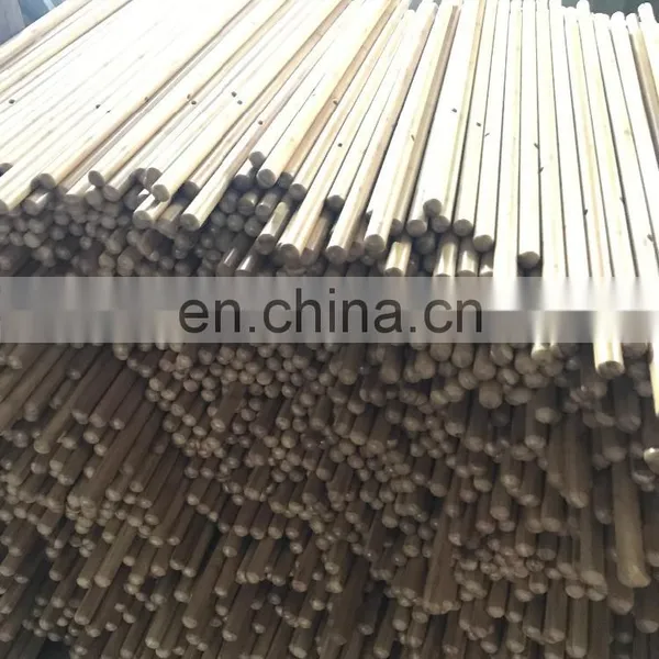 Tee Pee Poles Bamboo photo-6