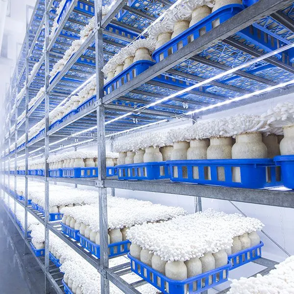 Fresh-Keeping Cold Storage