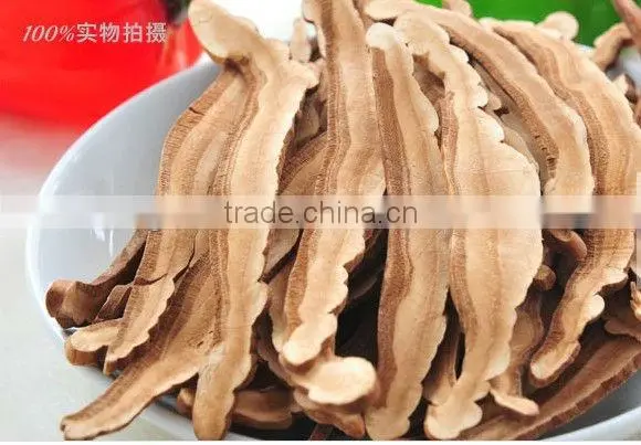 Reishi Slice,Ganoderma Lucidum
