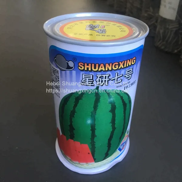 Small Phoenix f1 Hybrid Yellow Watermelon Seeds photo-2