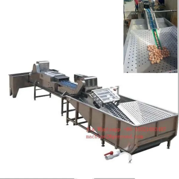 Full Automatic Egg Cleaning and Sorting Packing Line Production Line Processing Line