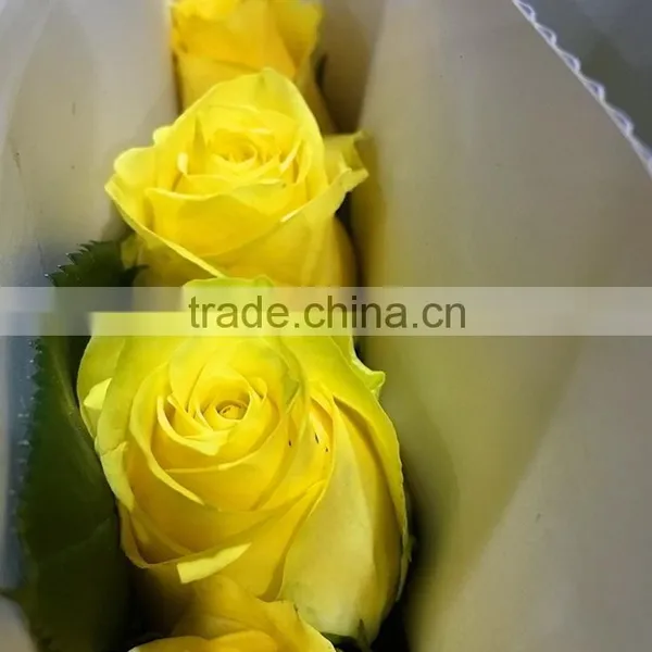 Top Quality Most Popular Gold Plated Gift Rose photo-2