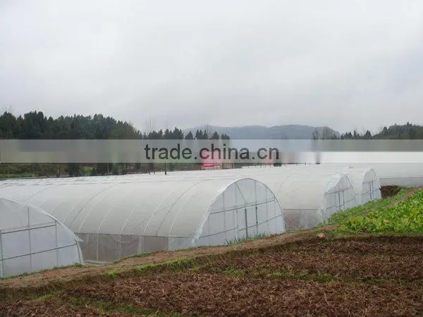 Roll Film Ventilation Plastic Tunnel Greenhouse photo-2