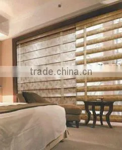 Zebra Blind / Zebra Blind Fabric / Window Blind