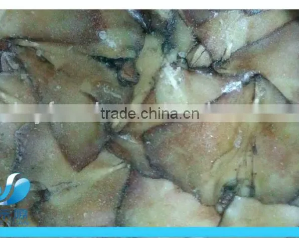 (squid Tube Squid Wings) Frozen Illex Squid photo-6