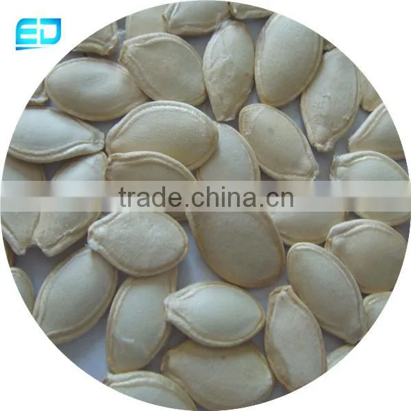 Shine Skin Pumpkin Seeds Raw Material for Roast and Salted photo-2