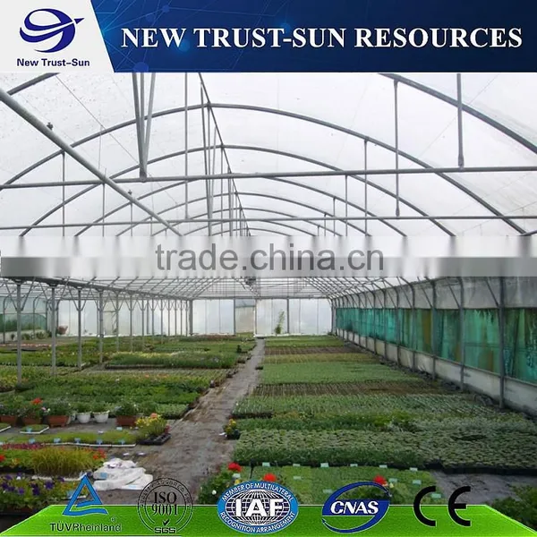One Stop Service for PE/PVC/plastic Film Tomato Greenhouse