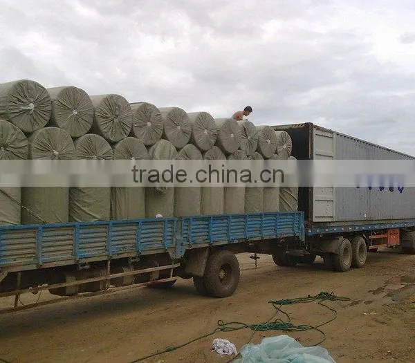 High Quality PE Coated Paper--Low Price photo-3