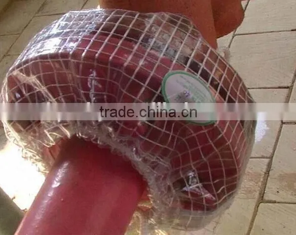 PVC Transparent Mesh Fabric photo-5