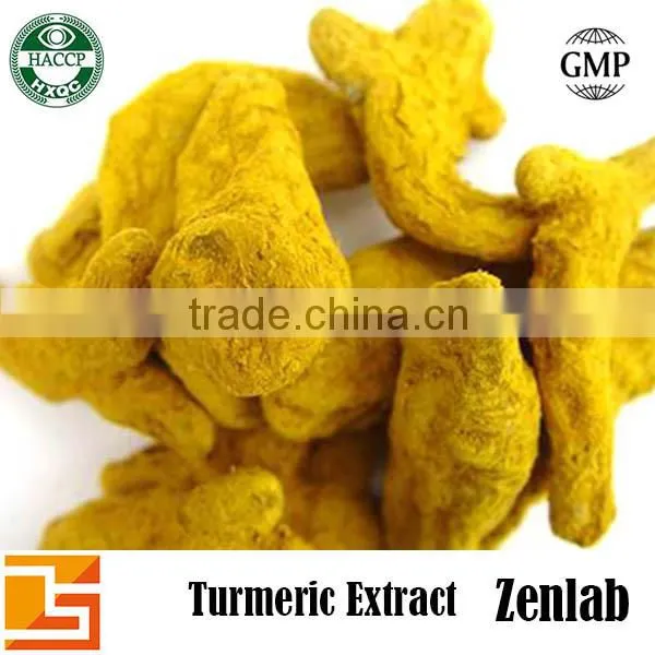 Curcumin Powder 95% Turmeric Extract Hot Sell Price Curcumin for Wholesale Turmeric Buyers photo-3