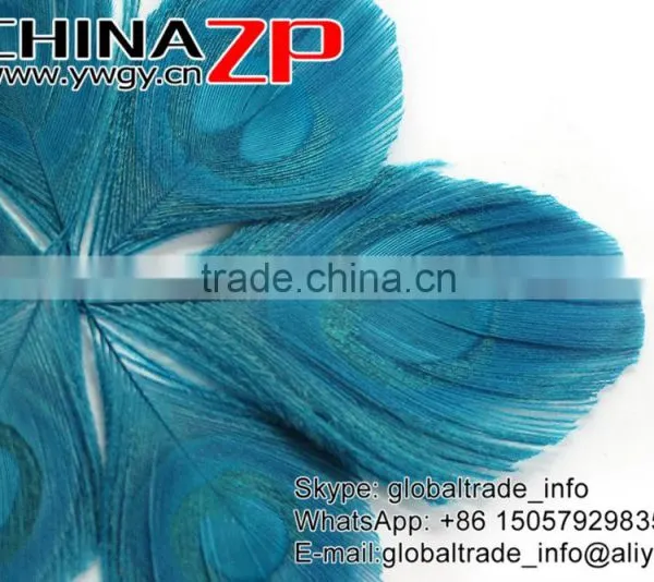 Leading Supplier CHINAZP Wholesale Wonderful Good Dyed Turquoise Trimmed Peacock Feathers Eyes for Earrings photo-3
