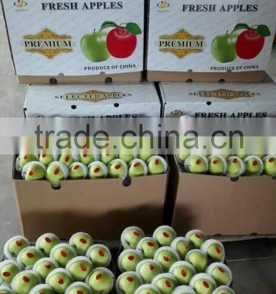 Green Gaga Apple photo-2