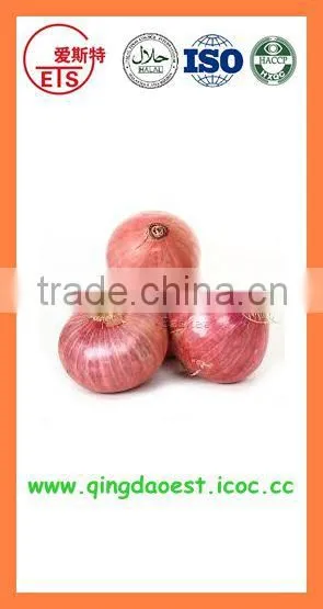 Fresh New Crop Onion PRODUCTS From China photo-2